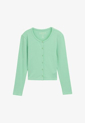 Cropped long-sleeve top in mint green, ribbed texture, round neckline, and button front closure. Soft, lightweight fabric.