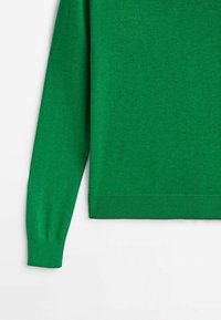 Vihreä neulepaita, jossa on sileä koostumus, pitkät hihat, resorit hihansuissa ja helman kohdalla. Yksinkertainen muotoilu ilman kuvioita tai koristeita.