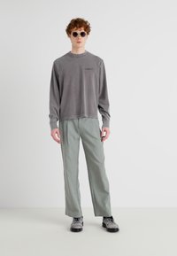 Abercrombie & Fitch PREMIUM VINTAGE BLANK CROP LOGO   - Hosszú ujjú felső - volcanic ash acid wash