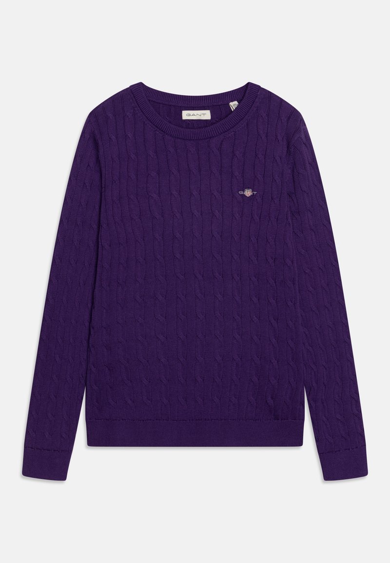 GANT SHIELD CABLE C-NECK - Strickpullover - pansy purple