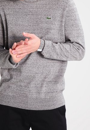 Mann trägt einen grauen Lacoste-Pullover, die Hände vor dem Körper verschränkt, schwarze Hosen sichtbar ab der Taille abwärts.