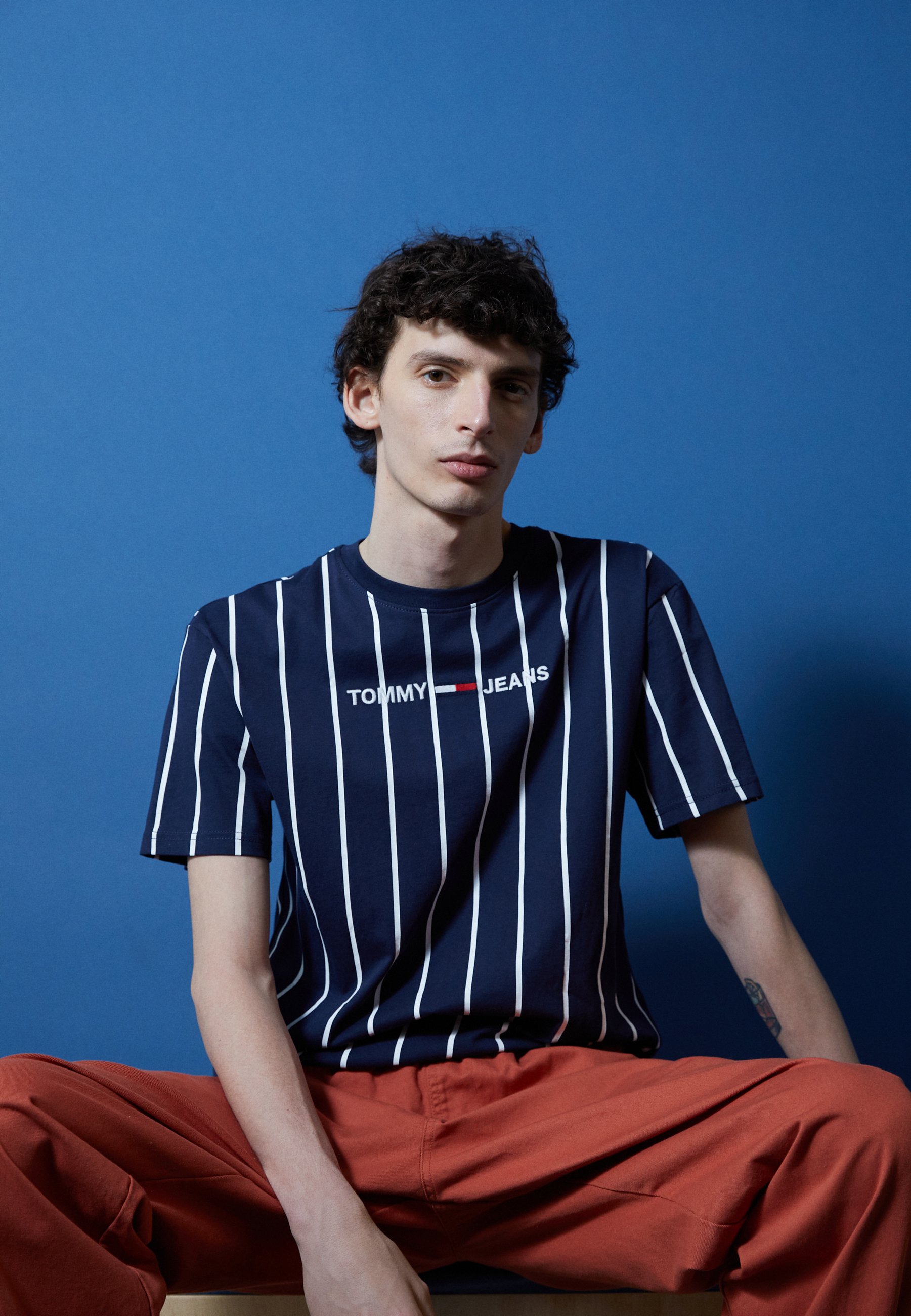 Tommy Jeans VERTICAL STRIPE LOGO TEE 