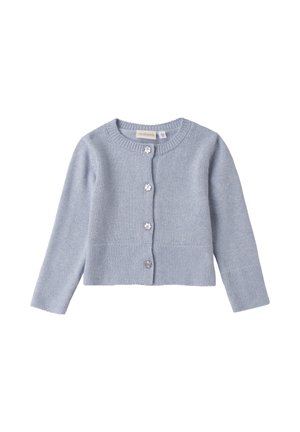Cardigan per bambino di un azzurro chiaro, lavorato a maglia, con maniche lunghe e quattro bottoni decorativi a forma di fiore sulla parte anteriore.