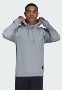 Lichtgrijze hoodie met lange mouwen, trekkoord bij de hals en een gemêleerd stof. Zwart logo label aan de onderkant.