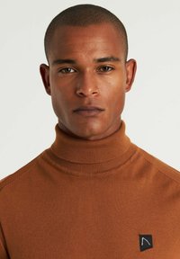 Pulover turtleneck maro, cu dungă, cu un design ajustat. Prezintă o mică pată cu logo negru pe partea stângă. Textură netedă.