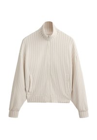 PINSTRIPE - Vetoketjullinen college - stone
