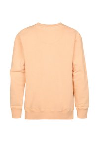 Ferskenfarvet sweatshirt med rund halsudskæring, lange ærmer og ribstrikkede manchetter og kant. Stoffet er glat med en ensartet tekstur. Set bagfra.