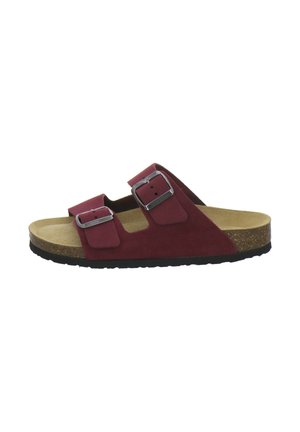 Red slide sandal with two adjustable metal buckles and a cork footbed resting on a black sole.