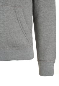 Abercrombie & Fitch Hættetrøje - light grey