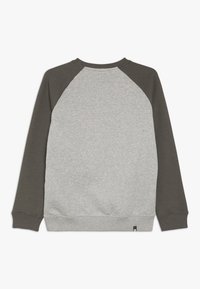 DC Shoes Sudadera - grey