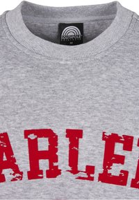 Sweat-shirt gris à col rond avec texte rouge usé partiellement visible et étiquette noire Southpole Originals taille M à l'intérieur du col.