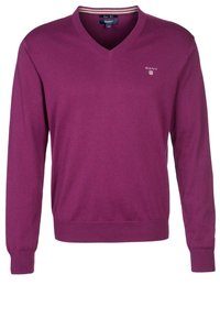 V-Ausschnitt-Pullover in tiefem Lila, aus weichem Strickmaterial gefertigt. Mit langen Ärmeln und einem kleinen Logo auf der linken Brust.