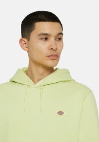 Dickies OAKPORT HOODIE - Hoodie - pale green