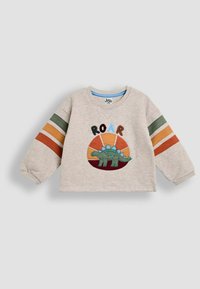 Sudadera de color gris claro con mangas largas, que presenta un gráfico de dinosaurio y el texto "ROAR". Acentos a rayas en verde, naranja y marrón en las mangas.