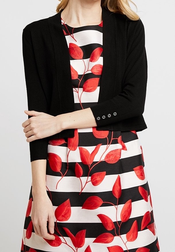 Femme portant un cardigan court noir avec des poignets boutonnés sur une robe rayée noir et blanc avec un motif de feuilles rouges.