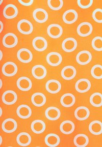 Emily van den Bergh Bluzka