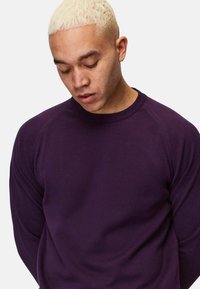 Purple crew-neck sweatshirt in soft fabric, featuring raglan sleeves and ribbed cuffs. The garment has a relaxed fit and smooth texture.