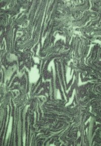 The North Face DENALI - Jakna iz flisa - chlorophyll green/black