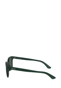 Grønne rektangulære solbriller med en gjennomsiktig ramme. Har tykke stenger med fasede kanter og "Calvin Klein"-merke på siden.