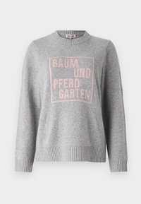 CLIO - Strickpullover - calm grey