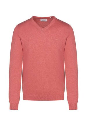 Pull pour homme à manches longues et col en V, de couleur rose doux, avec poignets et ourlet côtelés, arborant un logo brodé subtil sur la poitrine.