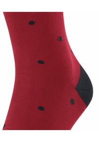 FALKE DOT - Calze - scarlet