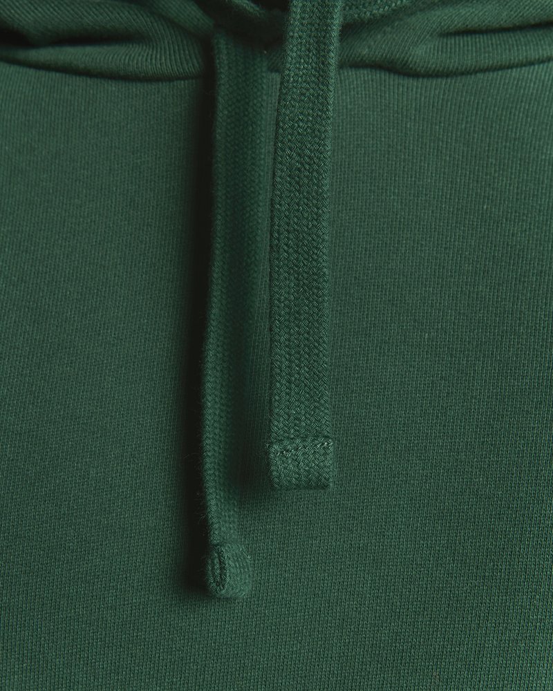 Lyle Scott Felpa dark green/verde scuro