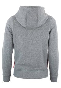 Peak Mountain Felpa con zip - light grey