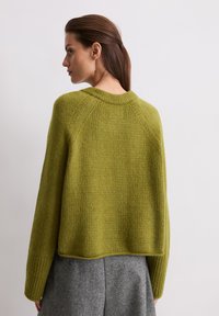 Maglione verde lavorato a maglia con una vestibilità morbida, maniche raglan, superficie testurizzata e orlo corto. Il materiale sembra morbido e accogliente.
