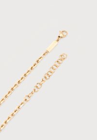 Κολιέ αλυσίδα σε χρυσό τόνο με κούμπωμα με στρογγυλή γαρίδα και ορθογώνια ετικέτα χαραγμένη με τη λέξη "LACOSTE" σε λευκό φόντο.