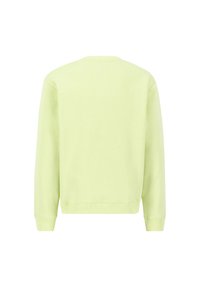 Light green sweatshirt with a crew neckline, long sleeves, and ribbed cuffs and hem. Simple design, soft texture, and no visible patterns.