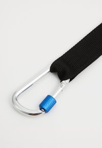 Black nylon strap attached to a silver metal carabiner with a blue textured screw lock detail. The carabiner has a rounded shape.