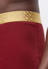 Röda bomullstights med en bred guldig mönstrad midja. Tyget verkar mjukt med en slät textur och en kroppsnära design.