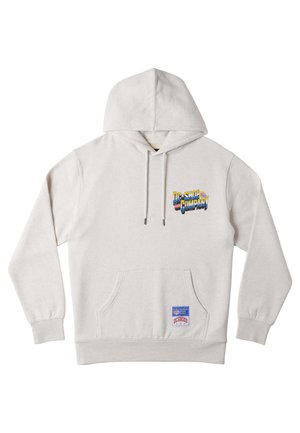 Lichtgrijze hooded sweatshirt van zacht materiaal, met een voorvak in kangoeroestijl en een kleurrijk 'DC Shoes Company' logo op de borst.
