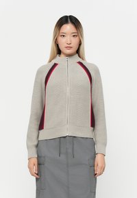 Lichtgrijze gebreide zip-up trui met bordeauxrode en rode zijaccenten. Bevat een hoge kraag en ribgebreide manchetten. Casual ontwerp met een comfortabele pasvorm.