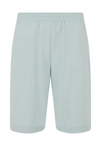 Ljust blå shorts i mjukt tyg med elastisk midja, med avslappnad passform och rak benlängd. Inga fickor eller dekorationer.