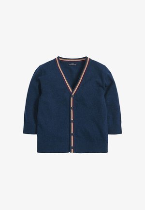 Vest - blue