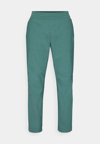 EVERYDAY EXPLORER PANT - Outdoor trousers - dark green