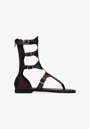 Sandalia gladiadora plana de color marrón oscuro con cuatro hebillas plateadas ajustables y cremallera trasera, puntera abierta y correas a la altura del tobillo.