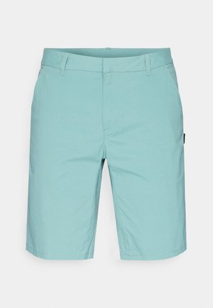 Ljusblå shorts i ett mjukt tyg, med slät front, bälteslingor och sidofickor; knälång med en subtil glans.