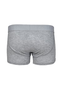 Boxer shorts grigi in cotone con una morbida cintura elastica e un branding in rilievo discreto. Texture liscia e design aderente.