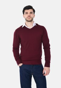Giovane uomo dai capelli scuri che indossa un maglione bordeaux a V sopra una camicia bianca e jeans blu, in piedi con una mano in tasca.