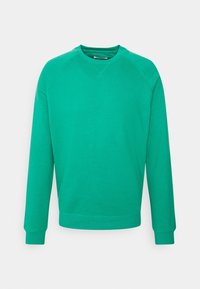 Sudadera verde hecha de una tela suave. Presenta mangas raglán largas, un escote redondo y puños y dobladillo de canalé. Textura suave en todo su diseño.