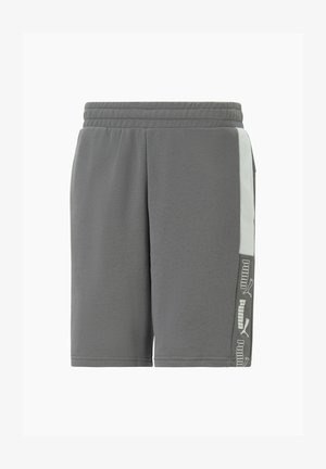 Gray shorts with an elastic waistband, featuring a light gray side stripe and PUMA branding in black along the left leg.