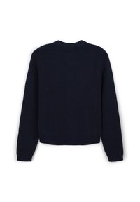 Maglione lavorato a maglia blu navy, con scollo a girocollo, maniche lunghe, orlo e polsini a coste. Texture liscia con un colore uniforme e senza motivi visibili.