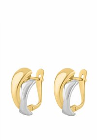 Orecchini tono oro e argento con un design liscio e curvo. Presentano una chiusura a cerniera e finiture contrastanti per un interesse visivo.