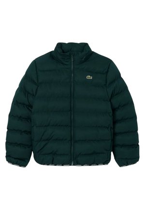 PUFFER - Veste d'hiver - sinople