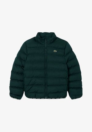 Tume-roheline sulejope täispikase eesluku, püstkrae ja vasakul rinnal väikese krokodillilogoga.