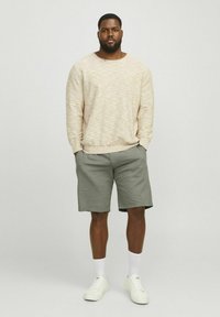 Jack & Jones N/A - Shorts - deep lichen green