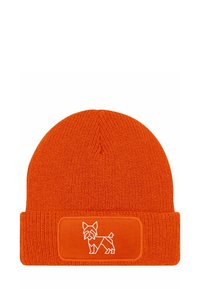 Unselected, yorkshire terrier orange
